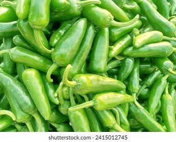 Fresh Green Chilli from Pakistan for wholesale and export