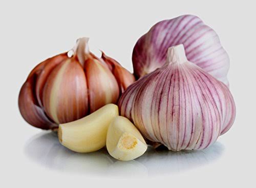 Fresh Garlic from Pakistan for wholesale and export