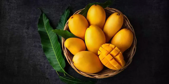 Fresh Mango from Pakistan for wholesale and export